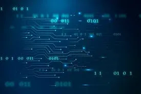 Server Developer
